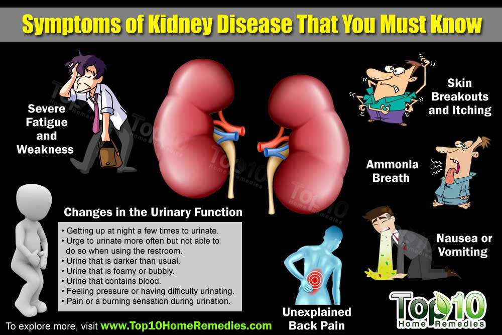 10 Symptoms That Should Alert You About Kidney Disease ...