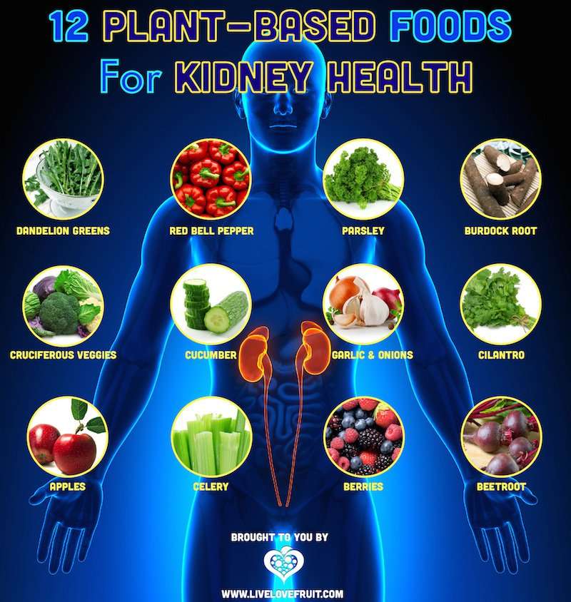 12 Plant