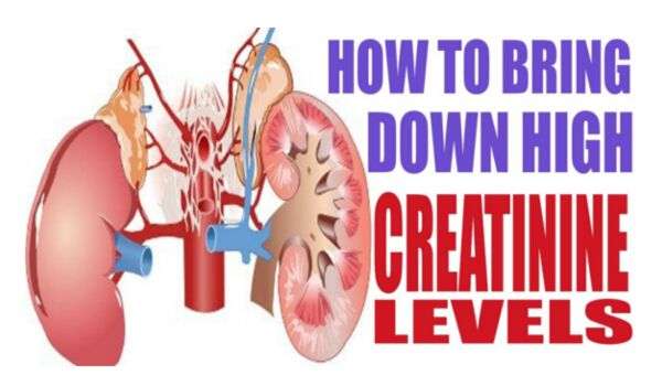 16 Easy Ways to Reduce Creatinine Level Fast and Improve ...