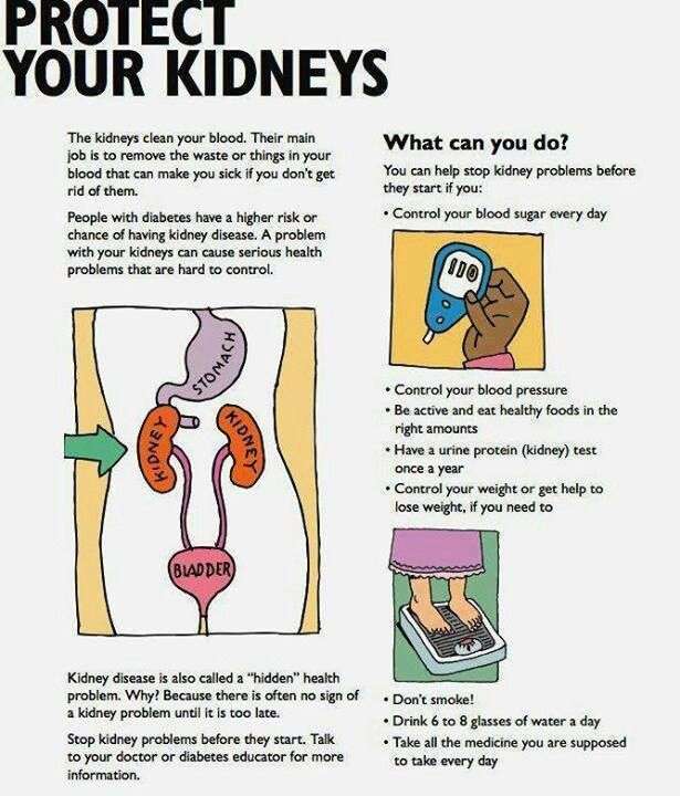 17 Best images about Urinary System Nursing on Pinterest ...