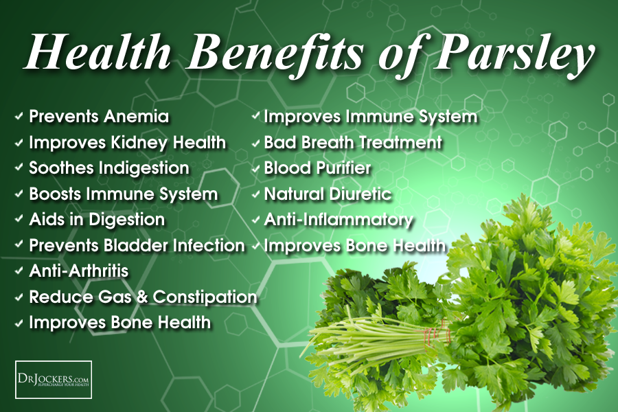 5 Amazing Health Benefits of Parsley and Recipes ...