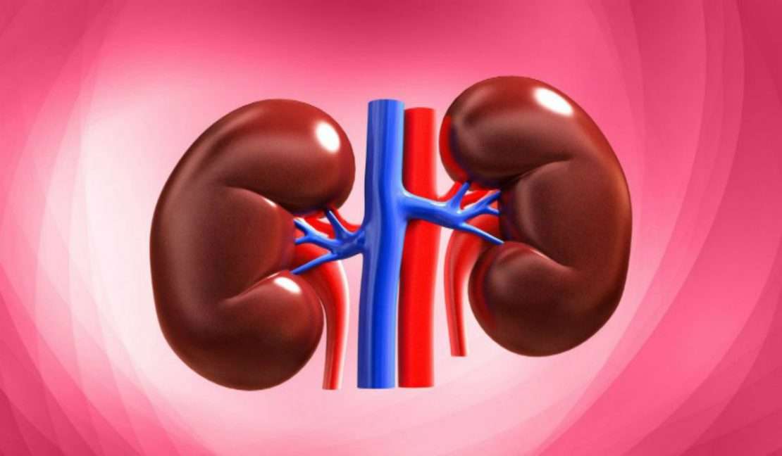 5 Careless Bad Habits That Harm Your Kidney
