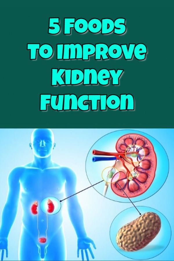 5 foods to improve kidney function Many foods can help us ...