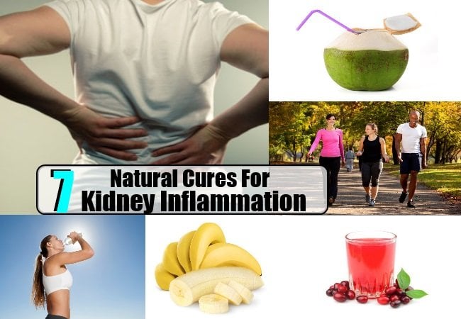 7 Effective And Beneficial Ways To Cure Kidney ...