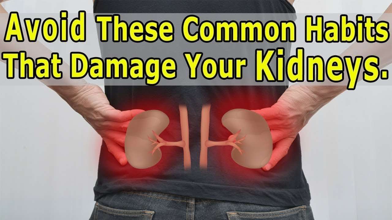 8 Common Habits That Damage Your Kidneys