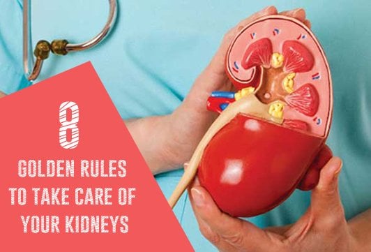 8 golden rules to take care of your kidneys
