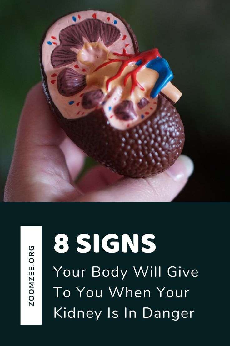 8 Signs Your Body Will Give To You When Your Kidney Is In Danger in ...