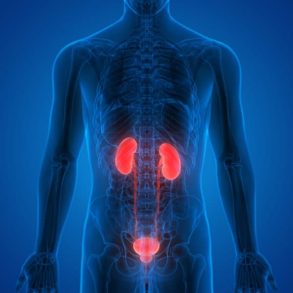 9 Warning Signs of Kidney Cancer Not To IgnoreDo You Feel Shooting ...