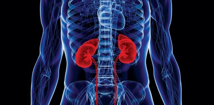 AJA Ancestral Healing: 10 Habits That Can Damage Your Kidneys!