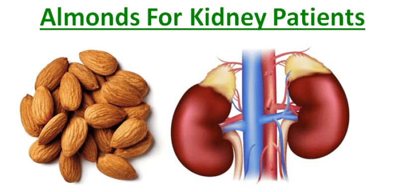 Almonds for Diabetic Patients, Kidney and Heart Patients ...