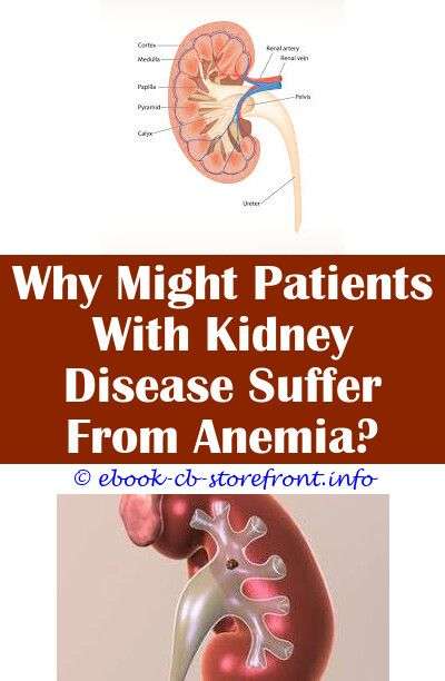 Amazing and Unique Tips: Kidney Care People reverse kidney ...