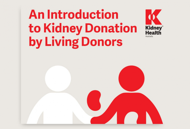 An Introduction to Kidney Donation by Live Donors (booklet)
