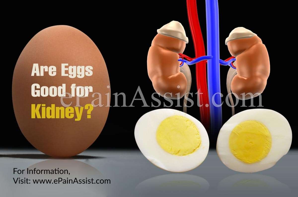 Are Eggs Good for Kidney?
