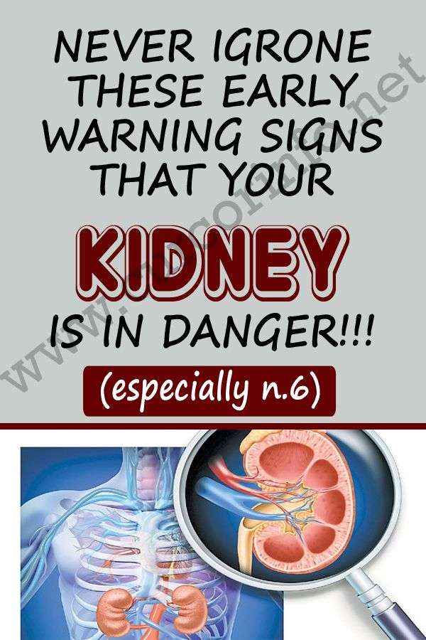 Are The Kidneys Located Inside Of The Rib Cage ...