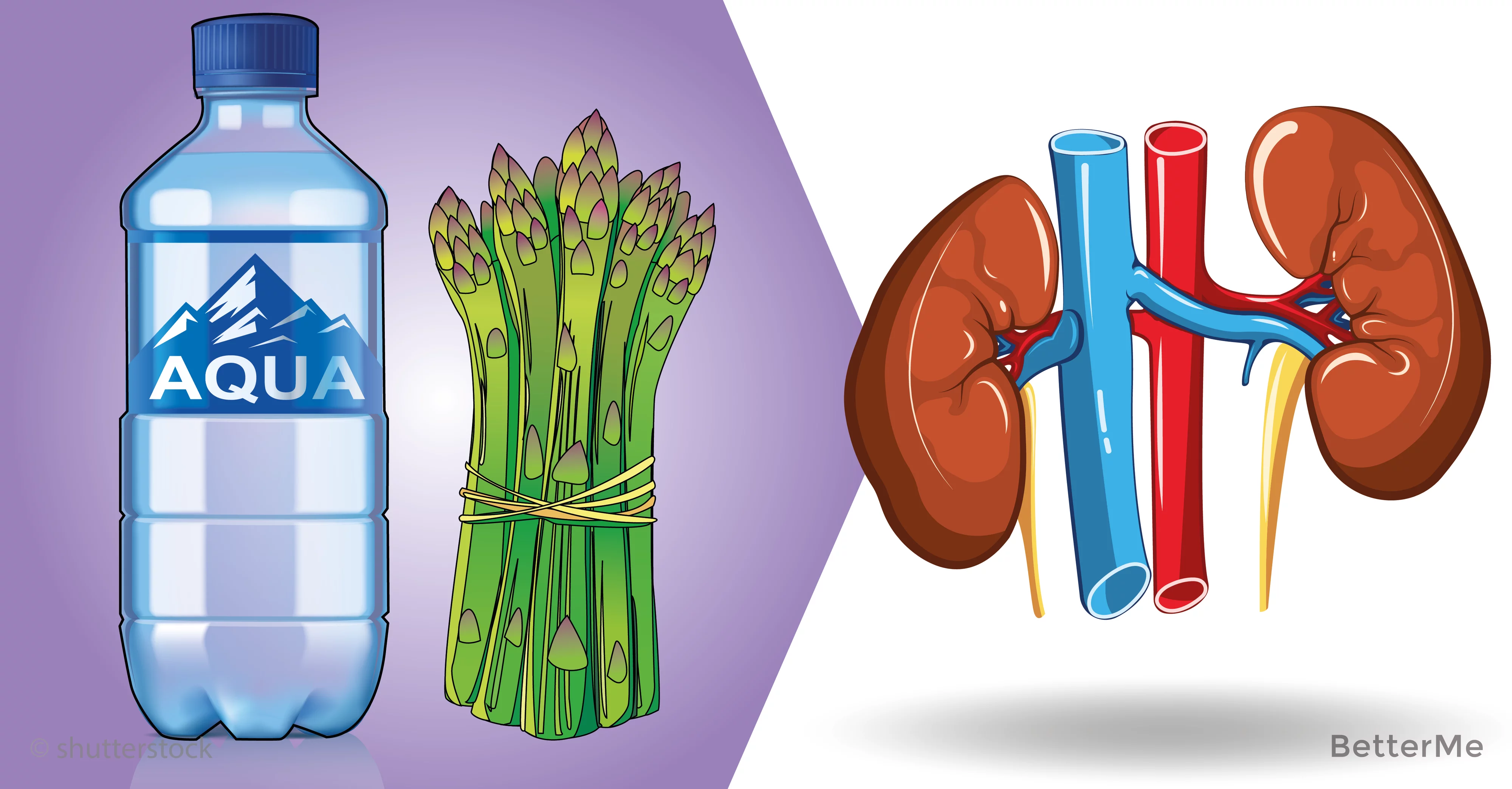 Avoid these 10 things that seriously damage your kidneys! # 4 is the ...