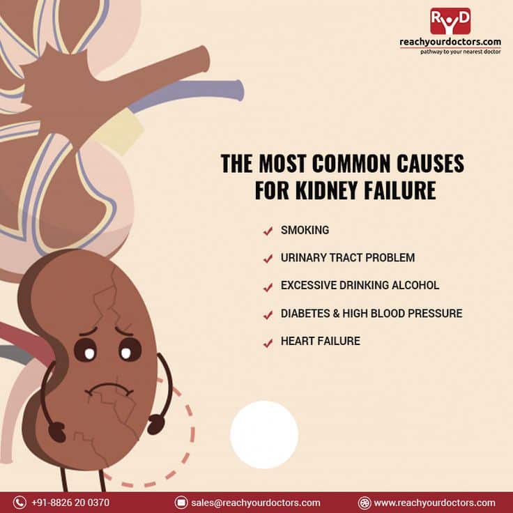 Awareness on Kidney Health concerns and means to take care of and how ...