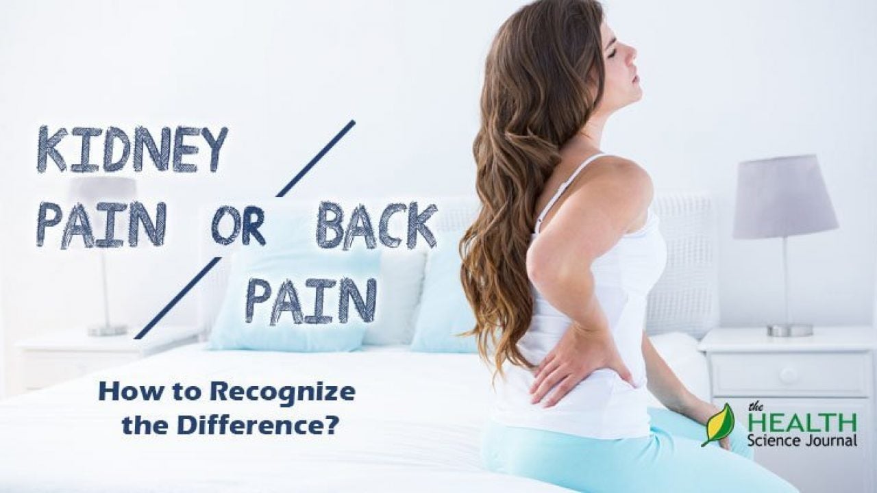 Back Pain Or Kidney Pain How To Recognize The Difference