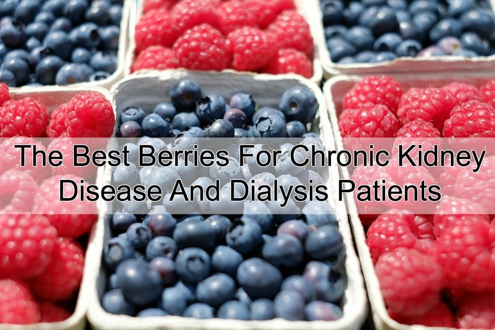 Best Berries For Chronic Kidney Disease And Dialysis ...
