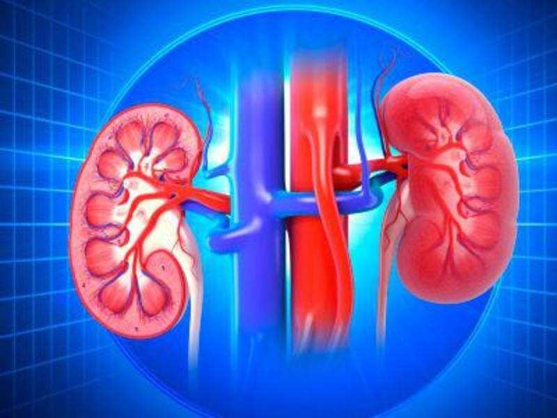 Better kidney health for kids: What you should know ...