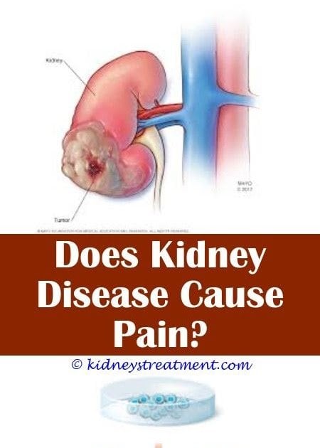 Can Damaged Kidney Repair Itself