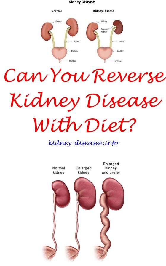 Can Kidney Damage Be Reversed