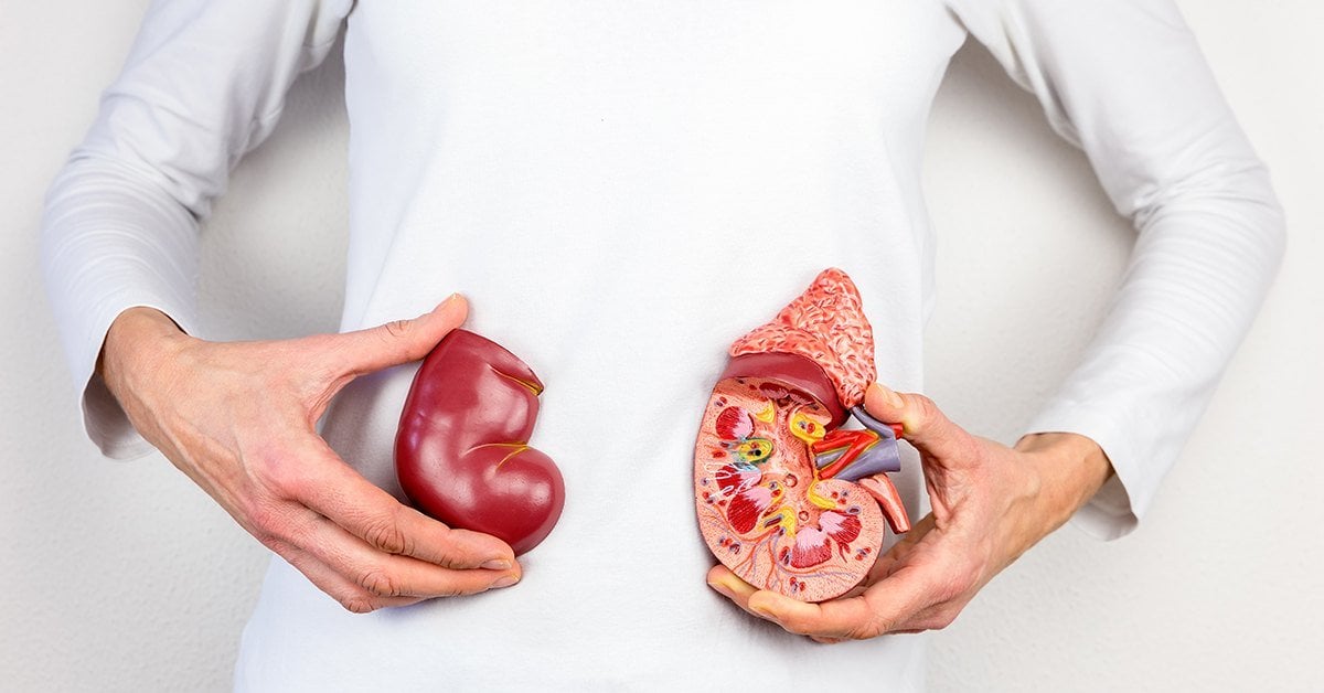 Can You Reverse Kidney Damage?