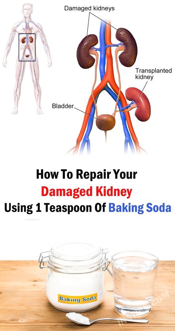 Can Your Kidney Repair Itself