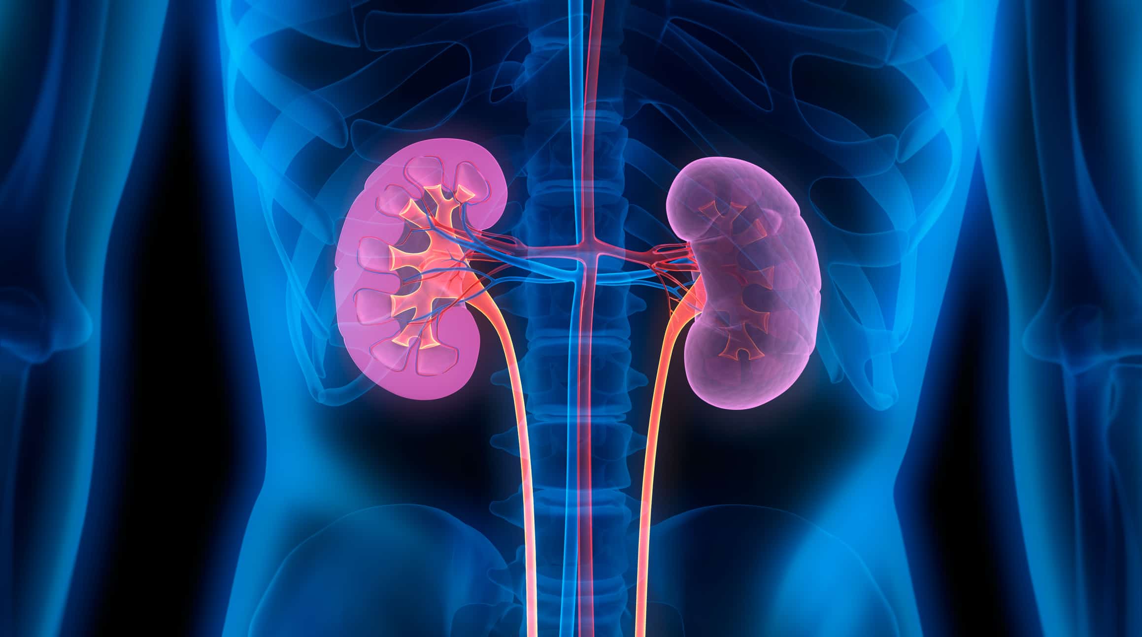 Check Your Kidney Function With At Home Test