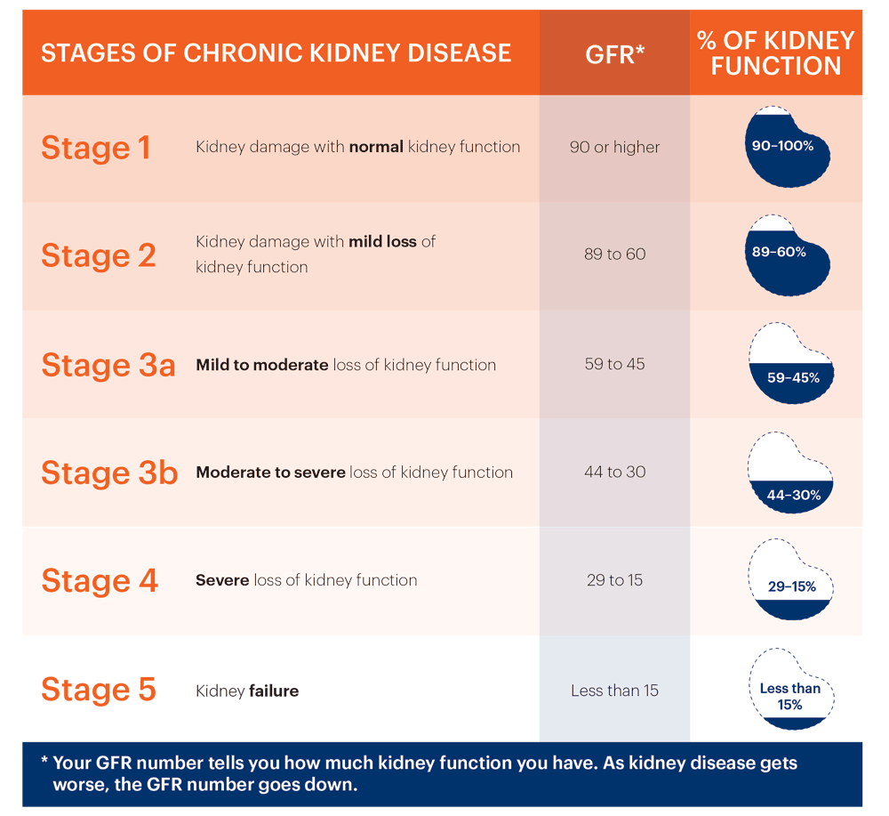 chronic kidney disease stages gfr iammrfoster com