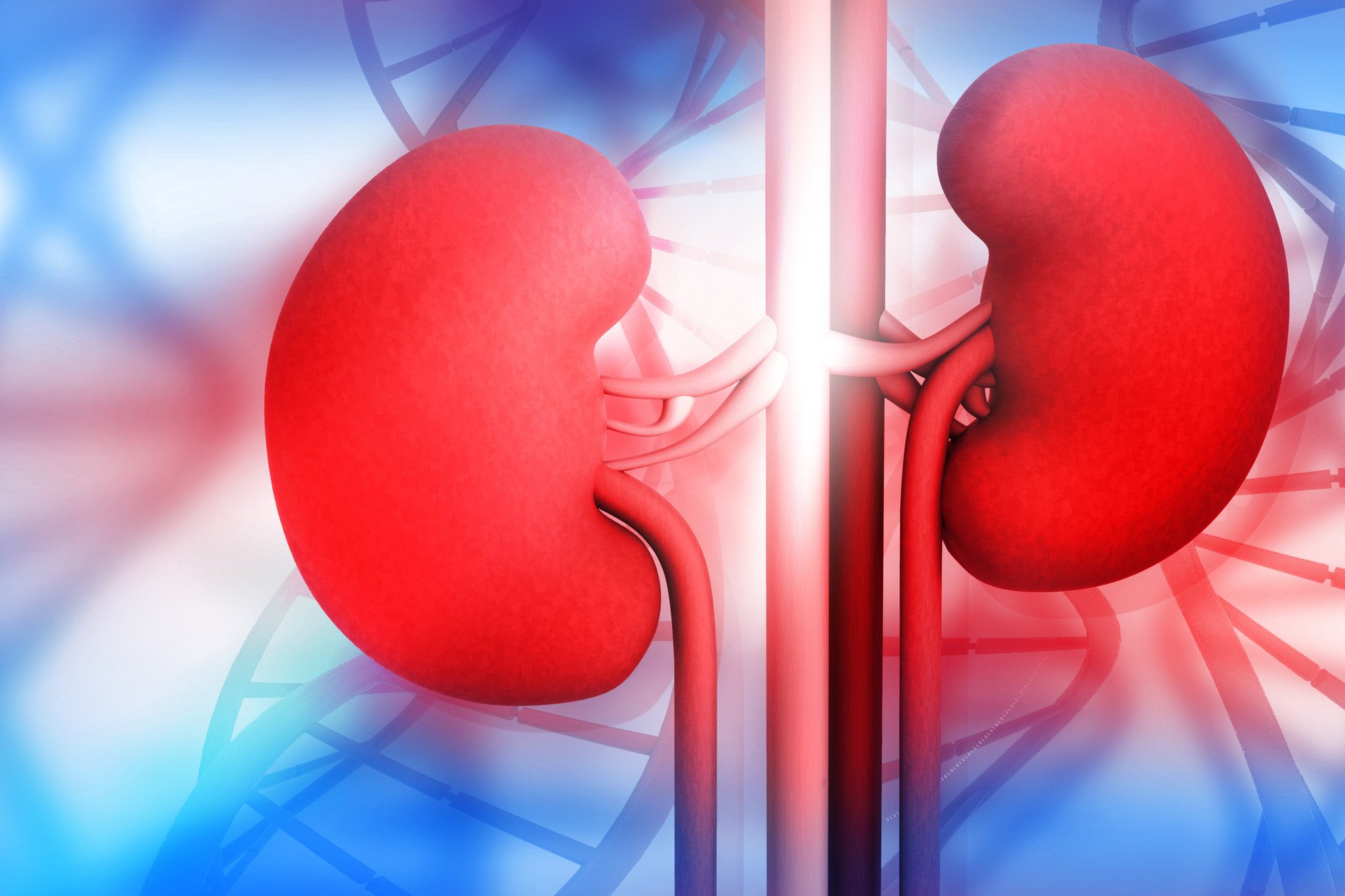 Common Questions About Kidney Disease