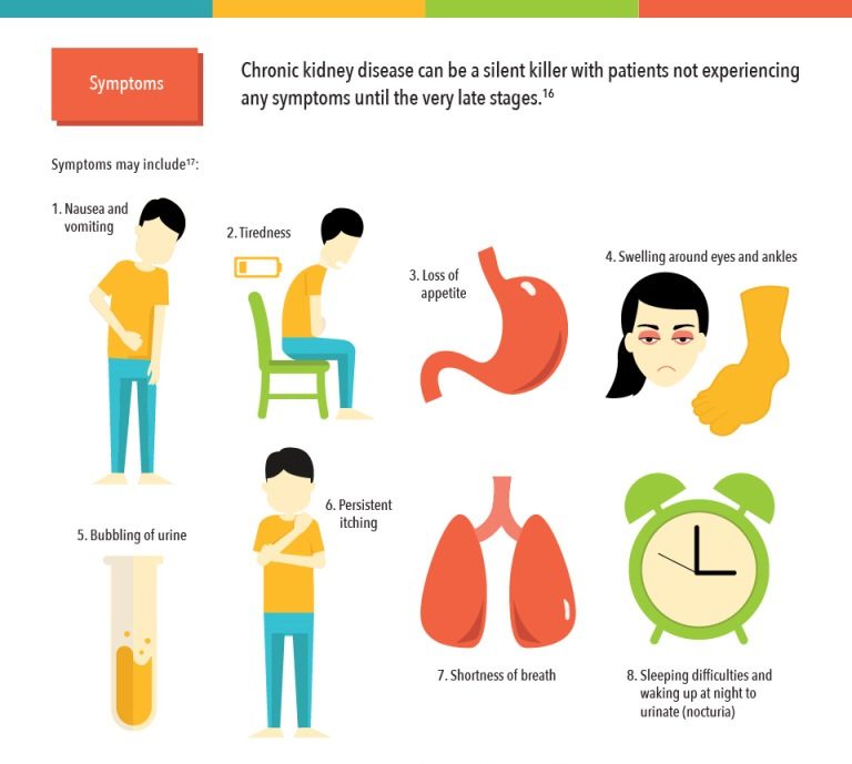 Crucial Symptoms Of Chronic Kidney Disease (CKD ...