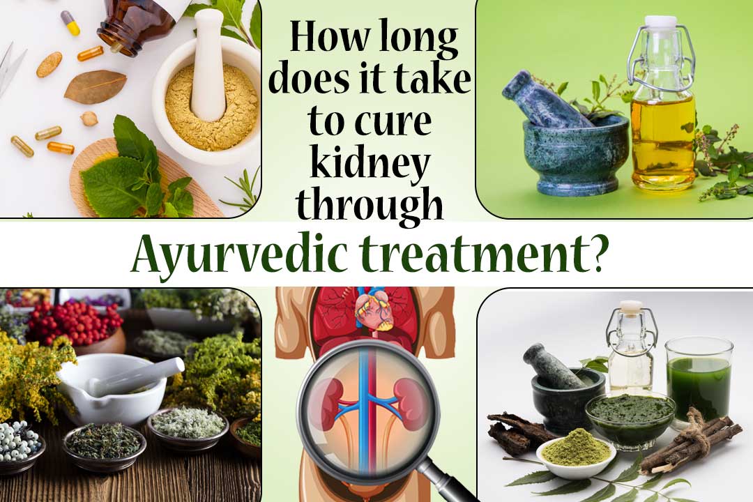 Cure kidney through Ayurvedic Kidney Treatment