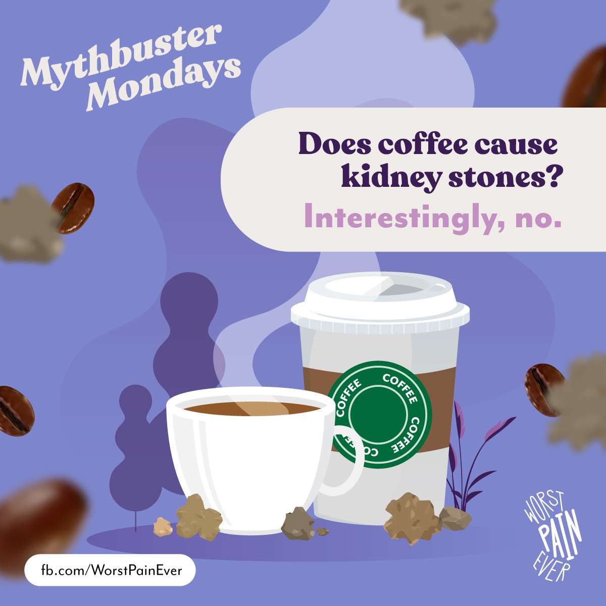 Decaf Coffee Kidney Stones / Pin on nephrotic syndrome