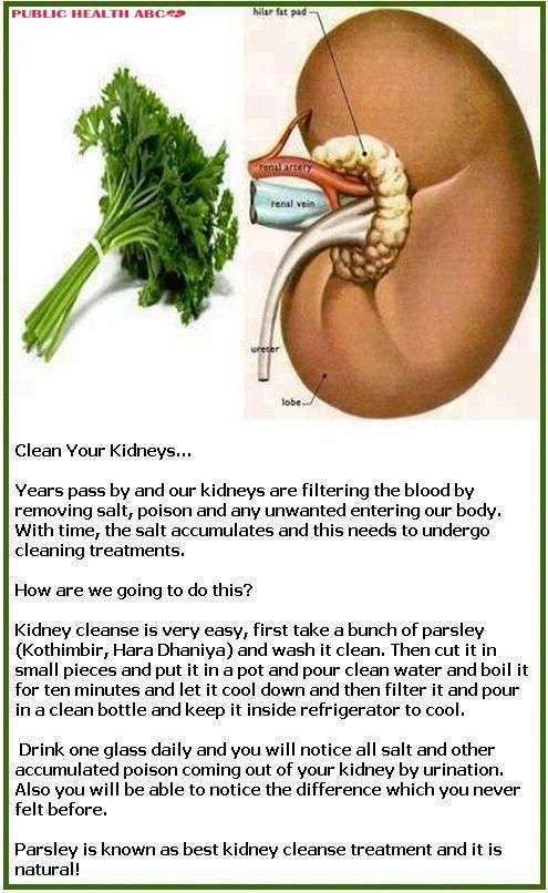 Do you know how to take care of your kidneys? Besides ...