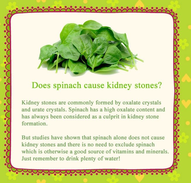 Does spinach cause kidney stones? Kidney stones are ...