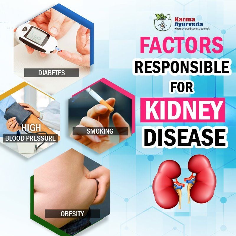 Factor Responsible for kidney disease . . #factor # ...