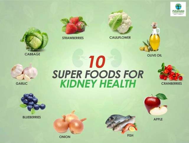 Foods To Cleanse and Repair Your Liver and Kidney Health