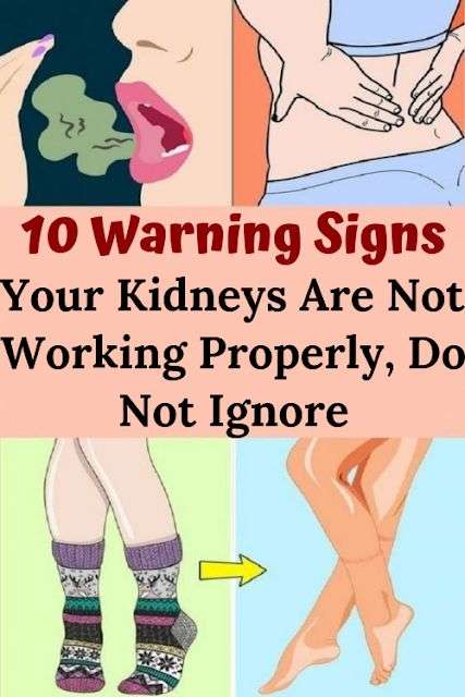Here Are 10 Warning Signs Your Kidneys Are Not Working ...