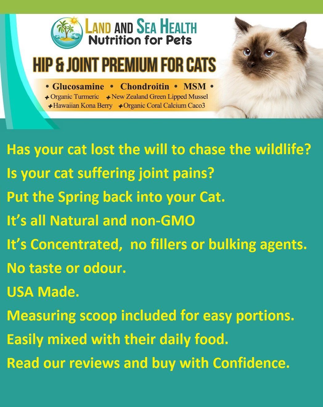 Hip and Joint Premium for Cats Glucosamine Chondroitin MSM ...
