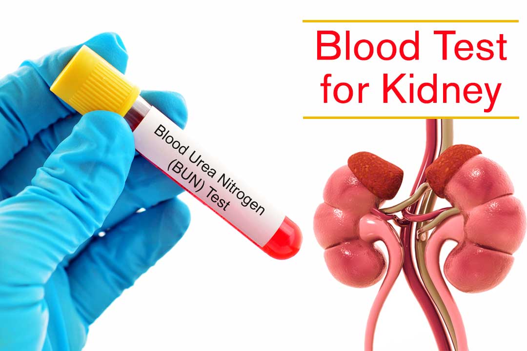 How blood test for kidney helps in the detection of kidney ...