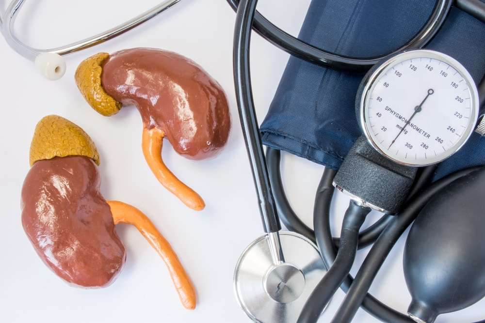How Do The Kidneys Help Regulate Blood Pressure?  Turn To ...