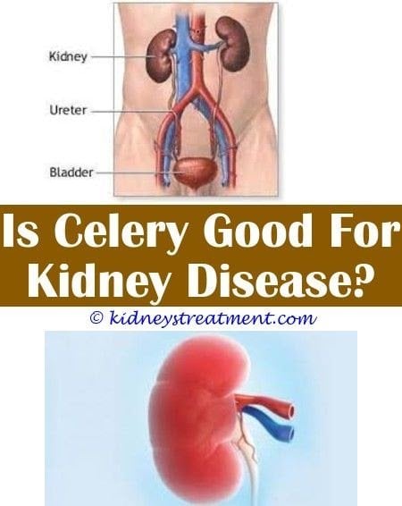 How Does Kidney Disease Affect Hypertension