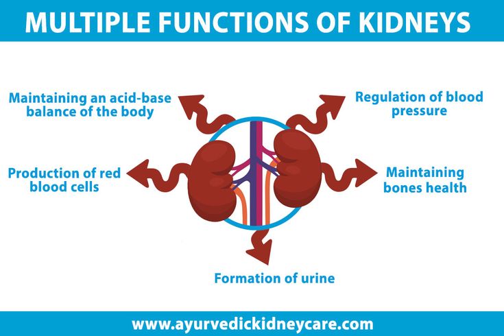 How Long Can Someone Live Once Their Kidneys Shut Down ...