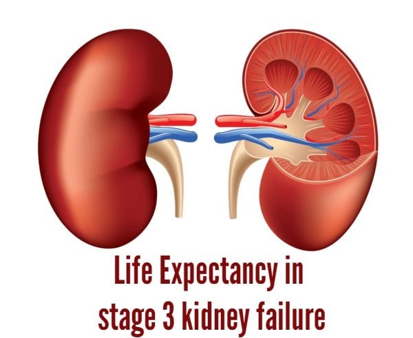 How long can you live in stage 3 kidney failure with no ...