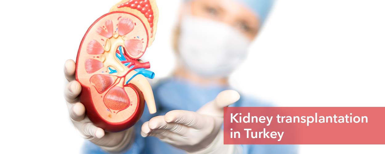 How Much Kidney Transplant Cost In Singapore