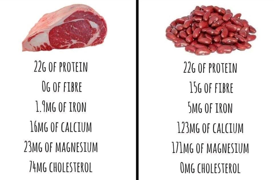 How Much Protein In 100g Of Red Kidney Beans