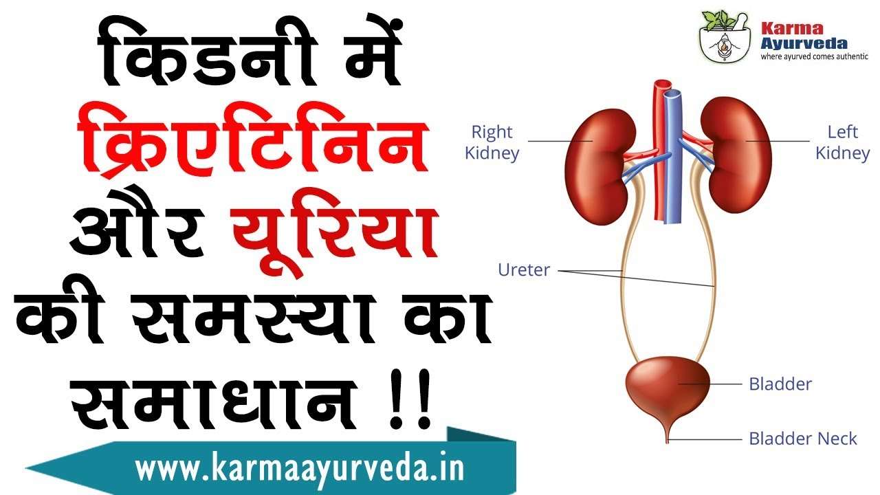 How to Cure Renal Failure Naturally