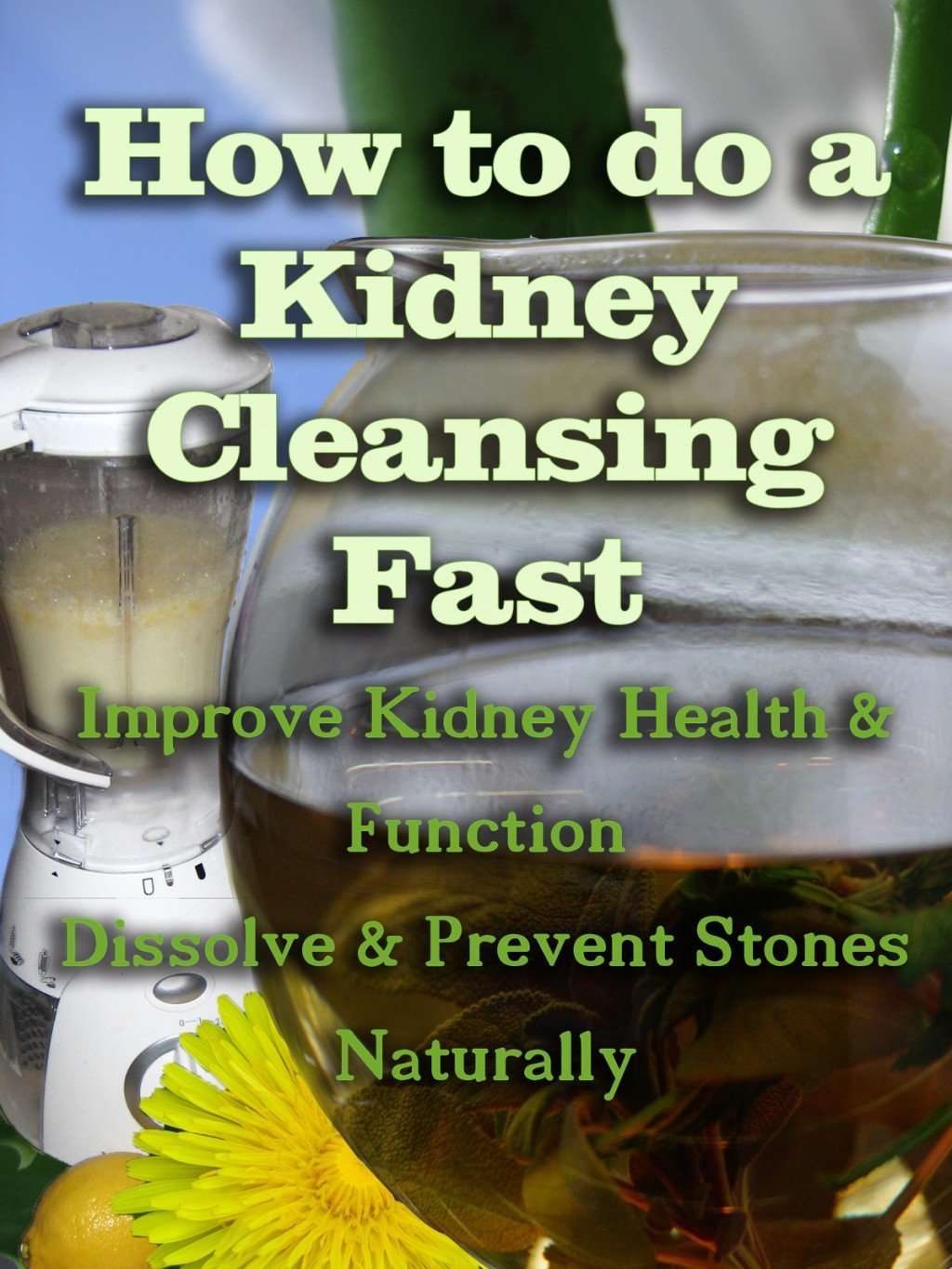 How to do a Kidney Cleansing Fast