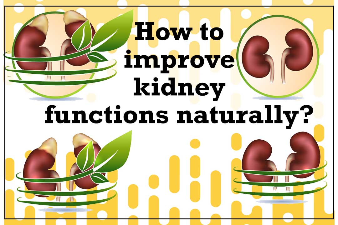 How To Improve Kidney Functions Naturally? Dr. Puneet Dhawan