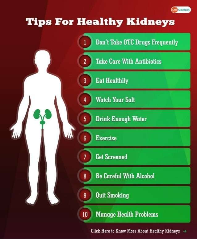 How To Keep Healthy Kidneys / Keeping The Diet Simple And ...